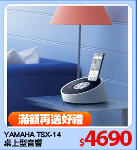 YAMAHA TSX-14
桌上型音響