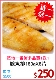 鯰魚排160gX6片