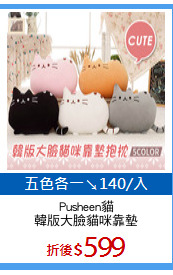 Pusheen貓
韓版大臉貓咪靠墊