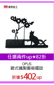 OPUS
歐式鐵製藝術擺設