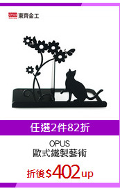 OPUS
歐式鐵製藝術