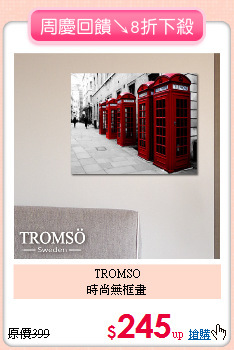 TROMSO<br>
時尚無框畫