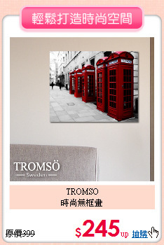 TROMSO<BR>
時尚無框畫