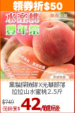 黑貓探險隊X光華部落<br>拉拉山水蜜桃2.5斤