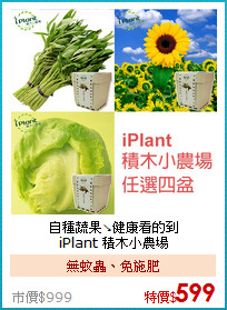 自種蔬果↘健康看的到<BR>
iPlant 積木小農場