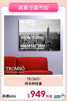 TROMSO<BR>
時尚無框畫