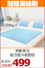 無敵激涼<BR>
超涼感冷凝墊組
