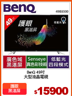 BenQ 49吋
大型液晶電視