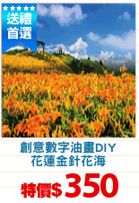 創意數字油畫DIY
花蓮金針花海