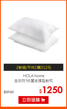 HOLA home<BR>
全效防?抗菌支撐型對枕