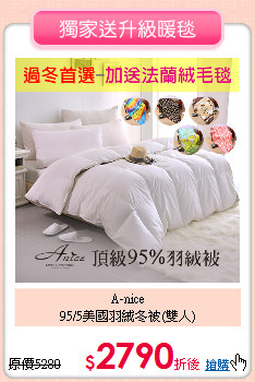 A-nice <BR>
95/5美國羽絨冬被(雙人)