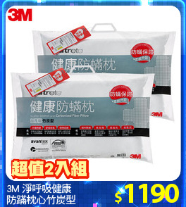3M 淨呼吸健康
防蹣枕心竹炭型