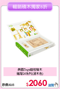 美國Tegu磁性積木<br>
進階24系列(淺木色)