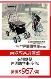 必翔銀髮
休閒購物車(多色)