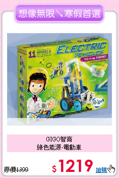 GIGO智高<br>
綠色能源-電動車