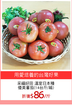 采福好田 溫室日本種
優美蕃茄(14台斤/箱)