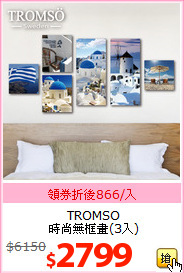 TROMSO<BR>
 時尚無框畫(3入)