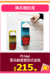 PS Mall
雲朵創意壁掛式盆栽