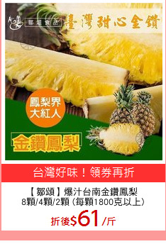 【鄒頌】爆汁台南金鑽鳳梨
8顆/4顆/2顆 (每顆1800克以上)