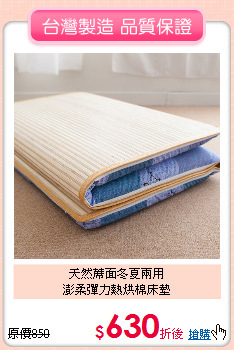 天然蓆面冬夏兩用<BR>
澎柔彈力熱烘棉床墊