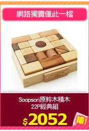 Soopsori原粹木積木
22P經典組