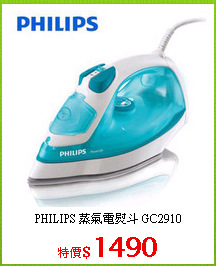 PHILIPS 蒸氣電熨斗 GC2910