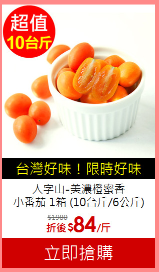 人字山-美濃橙蜜香<BR>小番茄 1箱 (10台斤/6公斤)