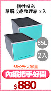 個性粉彩
單層收納整理箱-2入