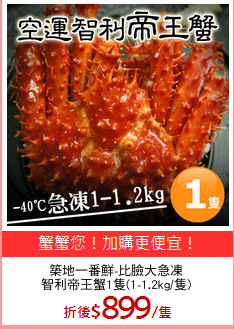 築地一番鮮-比臉大急凍
智利帝王蟹1隻(1-1.2kg/隻)