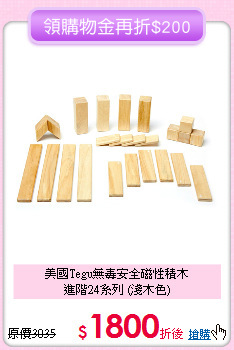 美國Tegu無毒安全磁性積木<br>
進階24系列 (淺木色)