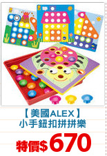 【美國ALEX】
小手鈕扣拼拼樂