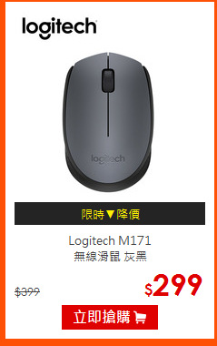 Logitech M171<br>
無線滑鼠 灰黑