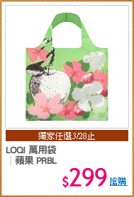 LOQI 萬用袋
│蘋果 PRBL
