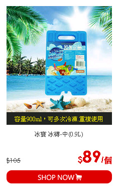 冰寶 冰磚-中(0.9L)