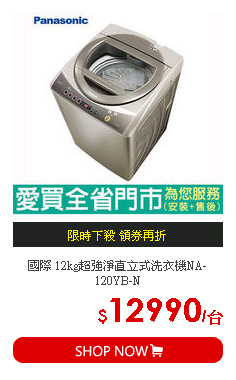 國際 12kg超強淨直立式洗衣機NA-120YB-N