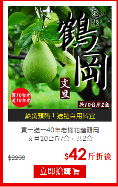 買一送一40年老欉花蓮鶴岡<br>文旦10台斤/盒，共2盒