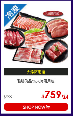 雅勝肉品YS火烤兩用組
