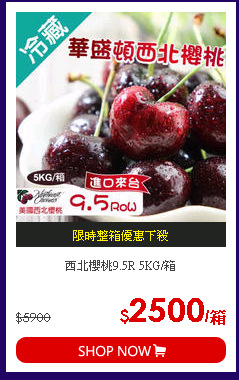 西北櫻桃9.5R 5KG/箱
