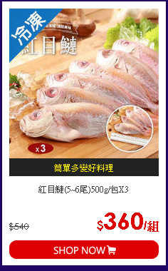 紅目鰱(5~6尾)500g/包X3