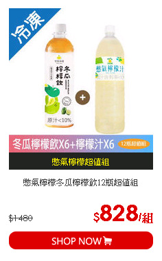 憋氣檸檬冬瓜檸檬飲12瓶超值組