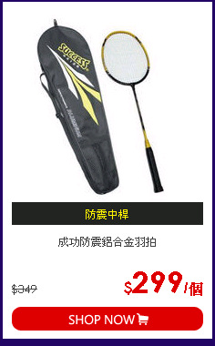 成功防震鋁合金羽拍