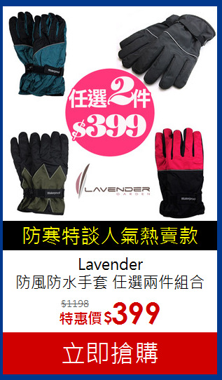 Lavender<br>防風防水手套 任選兩件組合